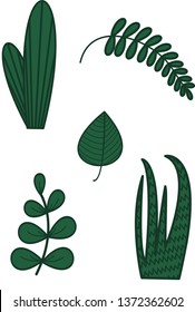 Set of plants without background