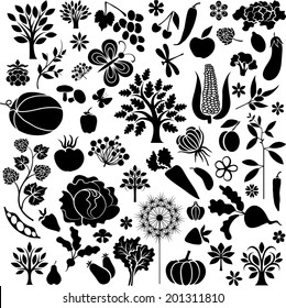Set of plants,trees and vegetables