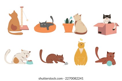 Set of playful cats. Collection of graphic elements for website. Kittens and pets with box, scratching post, butterfly and ball. Cartoon flat vector illustrations isolated on white background