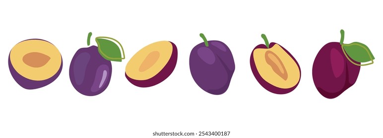 Un conjunto de ciruela en estilo plano. Ciruelas jugosas enteras, trozos de fruta con hojas verdes. Frutas frescas y deliciosas. Vector aislado ilustración. Frescura de verano para la salud. Para envasado y zumo.