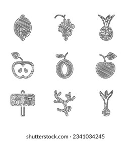 Set Plum fruit, Ginger root, Onion, Peach or nectarine, Location farm, Apple, Pineapple and Lemon icon. Vector