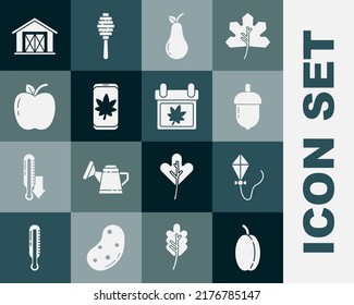 Set Plum fruit, Kite, Acorn, Pear, Leaf on mobile phone, Apple, Farm house and Calendar with autumn leaves icon. Vector