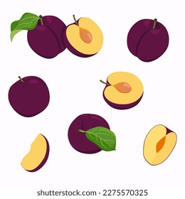 Conjunto de frutos de ciruela con hoja y medio fruto aislado en fondo blanco, ilustración vectorial.