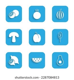 Set Plum fruit, Watermelon, Avocado, Spinach, Lemon, Mushroom,  and Orange icon. Vector