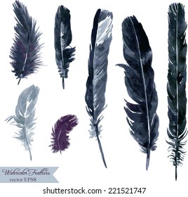 set of plumes, watercolor drawing feathers, hand drawn vector illustration