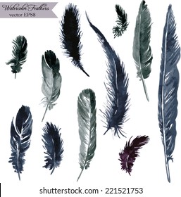 set of plumes, watercolor drawing feathers, hand drawn vector illustration