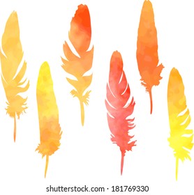 set of plumes in watercolor, vector illustration