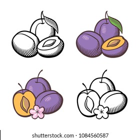 Set plums  Ripe