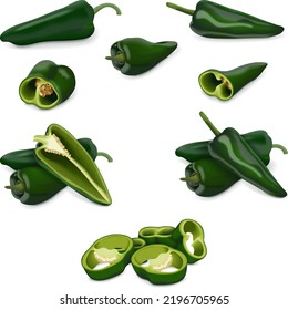 Set of poblano peppers. Whole, half, sliced, and wedges of peppers. Chili peppers. Ancho. Chile ancho. Capsicum annuum. Vegetables. Vector illustration isolated on white background.