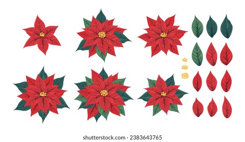 Set of poinsettia flower and its petals and leaves. Mexican poinsettia plant with red scarlet bracts surrounding the small yellow flowers. A popular houseplant for Christmas or New Year.