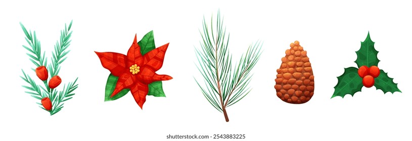 Set of poinsettia and holly berry Christmas plants on transparent background.