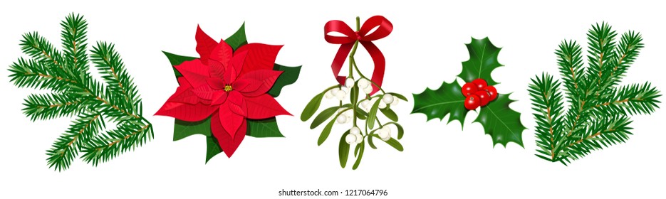 Set with Poinsettia, Holly berry, Mistletoe with berries and red bow, fir branches