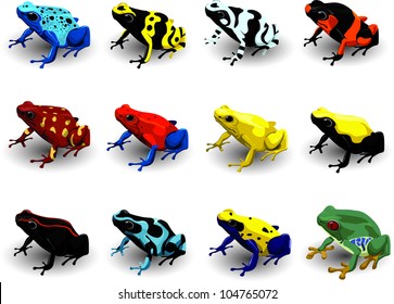 Set Poison Arrow Frog  Vector Illustration