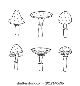 A set of poisonous fly agaric mushrooms. Vector illustration of the doodle style icon