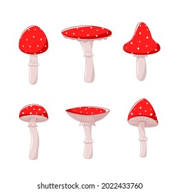 A set of poisonous fly agaric mushrooms, a vector illustration of forest inedible mushrooms