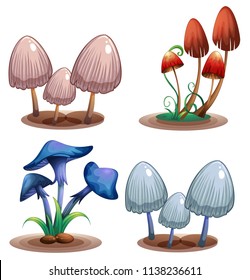 A Set of Poisonous Mushroom illustration