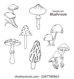 Set giftiger Pilze. Doodle. Vektorgrafik einzeln auf weißem Hintergrund.  Morel, fliege agarisch, toadstool. Verschiedene Typen im Stil der Linienkunst.