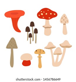 Set of poisonous mushrooms isolated on white background. Vector illustration in the style of flat.