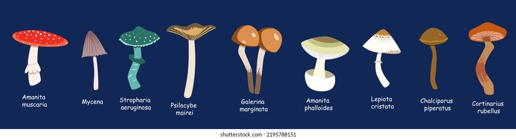 a set with poisonous mushrooms and a Latin name.