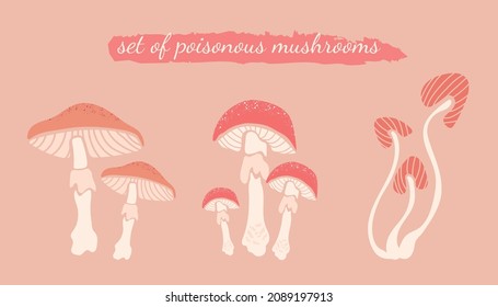 A set of poisonous mushrooms - toadstool, amanita. Flat vector illustration