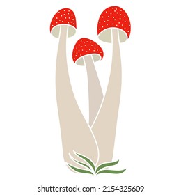 Set of poisonous mushrooms vector simple illustration isolated on white background. Coloured hand drawn version. Vector mycology. Natural healthy fungus, autumn design.