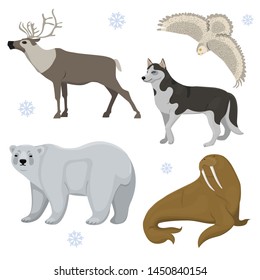 Set of polar animals. Husky, bear, owl, deer, walrus. Vector clip art isolated on white background.