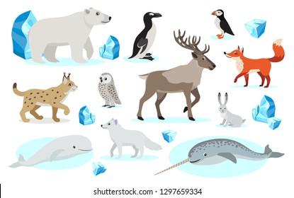 Set of polar animals icons, isolated on white background, lynx, polar bear and owl, mountain hare, red and Arctic fox, great auk, Atlantic puffin, narwhal, reindeer caribou, vector illustration