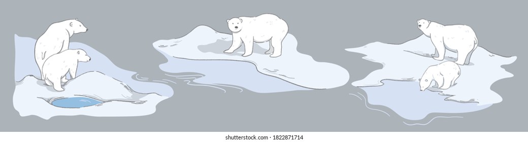 Set of polar bears in the arctic ocean. Wild animal vector illustration 