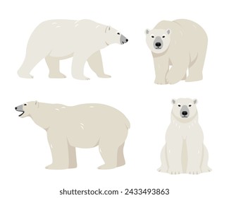 Set of polar bears in different poses. Wild polar Bear animals of the Arctic and the Arctic Circle isolated on white background. Polar bear standing, sitting and walking. Vector icon illustration.