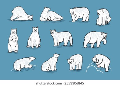 Set of polar bears in different poses and attitudes. Vector illustration.