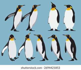 Um conjunto de pinguins polares em várias poses. Ilustração vetorial em um plano de fundo azul isolado. Elementos para o design de banners de inverno, cartazes, decoração de parede, tampa

