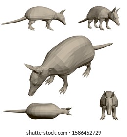 Set with polygonal animal armadillo. 3D. Vector illustration