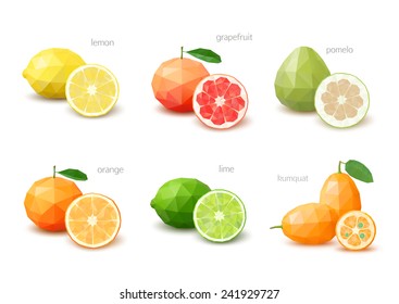 Set of polygonal citrus fruit - lemon, grapefruit, pomelo, orange, lime, kumquat. Vector illustration