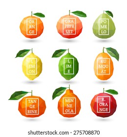 Set of polygonal citrus fruit - lemon, grapefruit, pomelo, orange, lime, kumquat, tangerine, minneola, red orange with design inscription. Vector illustration
