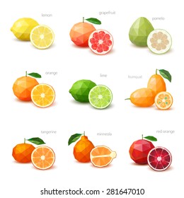 Set Polygonal Citrus Fruit Lemon Grapefruit Stock Vector (Royalty Free ...