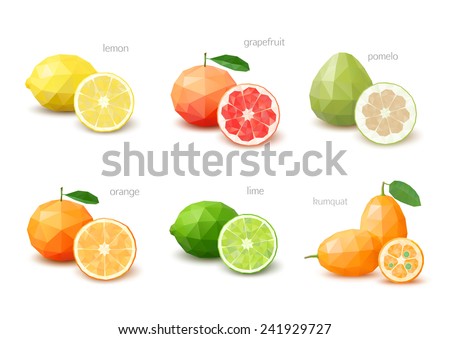 Set of polygonal citrus fruit - lemon, grapefruit, pomelo, orange, lime, kumquat. Vector illustration