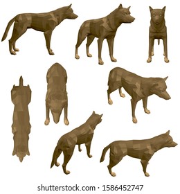 Set with polygonal coyote. Brown coyote with different view. 3D. Vector illustration