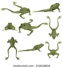 Set with polygonal frog. Green frog in different positions. 3D. Vector illustration.