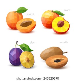 Set of polygonal fruit - apricot, peach, plum, sapodilla. Vector illustration