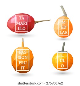 Set of polygonal fruit - tamarillo, lulo, medlar, passion fruit with design inscription. Vector illustration