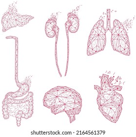 Conjunto de órganos humanos poligonales hechos de líneas rojas y puntos. Investigación médica del cuerpo humano, concepto de enfoque innovador. Anatomía, diagnóstico de sistemas corporales. Cerebro, riñón, hígado, pulmón, estómago, corazón