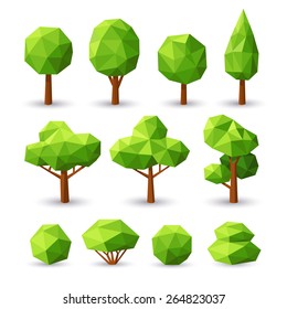 Set polygonal trees and bushes with different crowns.