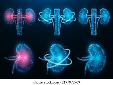 Conjunto de ilustraciones vectoriales poligonales del riñón inflamado enfermo, riñón sano y recuperación de las funciones renales. Diseño interno de baja polilla orgánica. Banner médico de orrología o nefrología, plantilla.