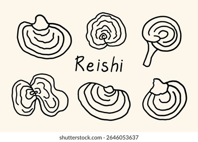 Conjunto com Polypore envernizado (Lingzhi ) Reishi cogumelos esboço em fundo isolado. Ingrediente natural chinês lenhoso médico para medicina alternativa, chá, cosméticos, spa. Design para logotipo, sinal