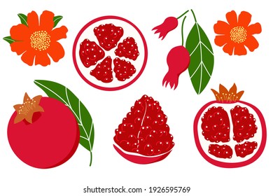 Set pomegranate fruit red juicy whole half cut piece slice flower leaf seed grain beautiful vector illustration.