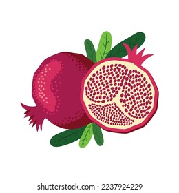 Set pomegranate fruit segment. Pomegranate whole and pieces, cut with seeds. Stylized juicy fruit. Symbol of good luck, eternal life, love, fertility, abundance. Symbol of Israel and Azerbaijan