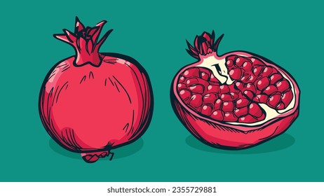 Set of Pomegranate fruit, Vector illustration in one line sketch style, flat hand drawn sketch, Colorful fruit with shadow and light, isolated on colored background.