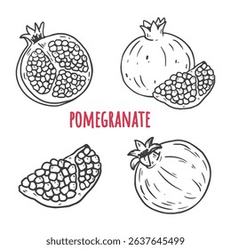 Set of pomegranate fruits. Isolated elements for design. Hand drawn vector illustration
