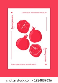 Set of pomegranate fruits vector hand drawn card concept. Fresh pomegranate, whole and half sliced. Cosmetics, wedding, spa, juice or invitation poster design. Tropical exotic fruits banner template.