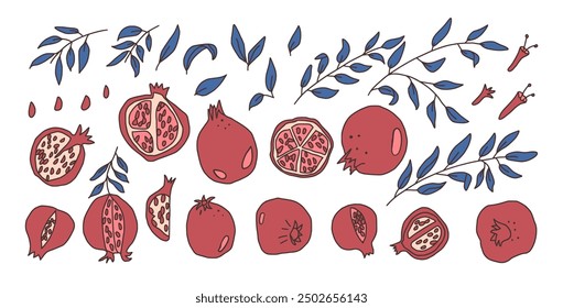 Set of pomegranates. Vector hand drawn doodle fruits and leaves collection illustration isolated on white background